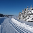 Ferienwohnung im Skigebiet Holzhau - Urlaub für Wintersportler