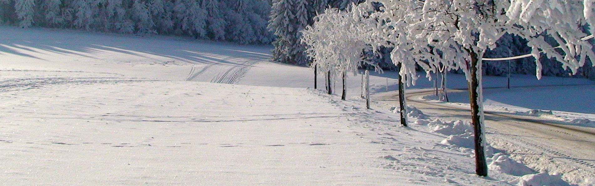 Ferienwohnung Liebscher in Holzhau Bergstra&szlig;e - Urlaub im Erzgebirge
