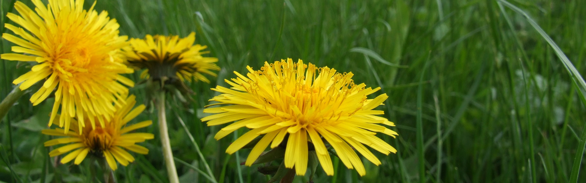 Ferienwohnung Liebscher in Holzhau Bergstra&szlig;e - Urlaub im Erzgebirge